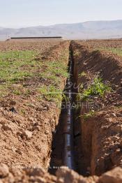 Image du Maroc Professionnelle de  Conduite d’eau pour l’irrigation par système de goutte à goutte sur des terres agricoles de grandes dimensions. Avant de procédé à la plantation des orangers on avait équipé le sol d’un système moderne d'arrosage qui laisse passer l’eau petit à petit, dans une nouvelle ferme moderne à Chichaoua, Mardi 27 Février 2007. (Photo / Abdeljalil Bounhar)